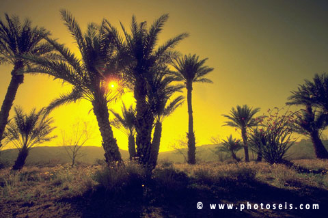 Sample Image 2