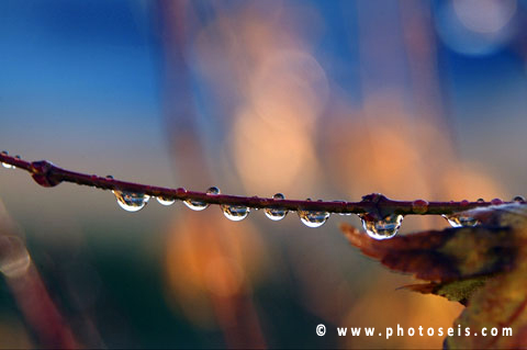 Sample Image 4