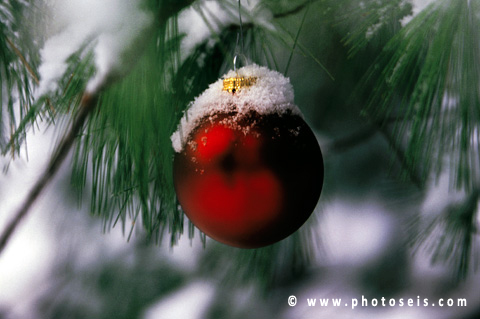 Sample Image 2